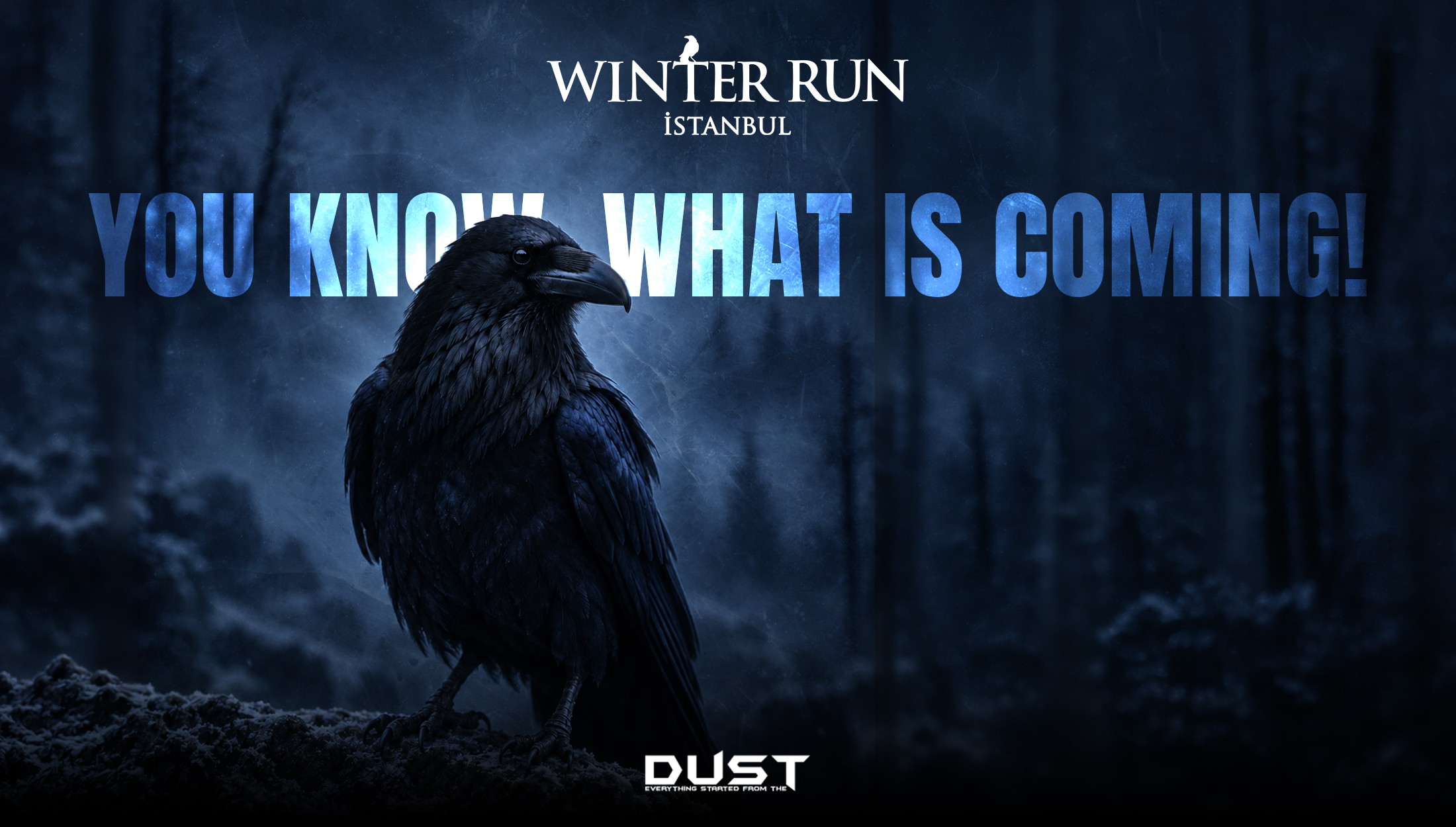 Winter Run İstanbul V.